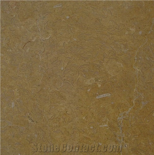 Giallo Vittoria Marble importance=