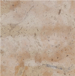 Ginseng Cream Limestone
