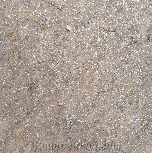 Gloria Platin Gneiss importance=