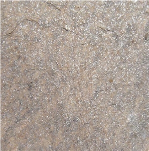 Gloria Platin Gneiss