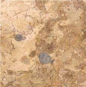 Gold Africa Yellow Marble