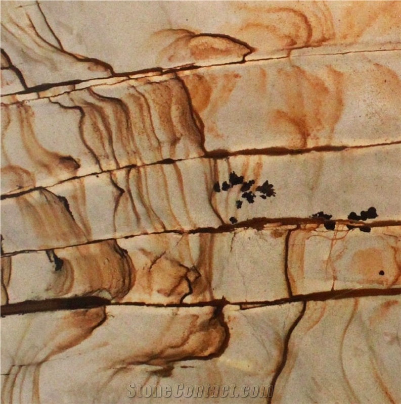 Golden Butterfly Quartzite importance=