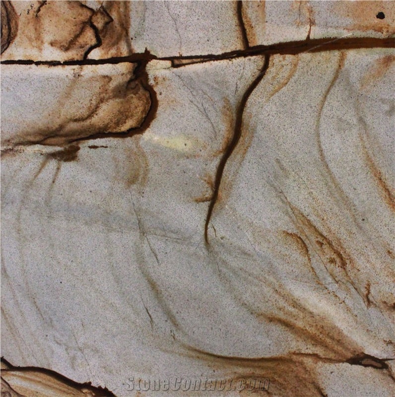 Golden Butterfly Quartzite Tile