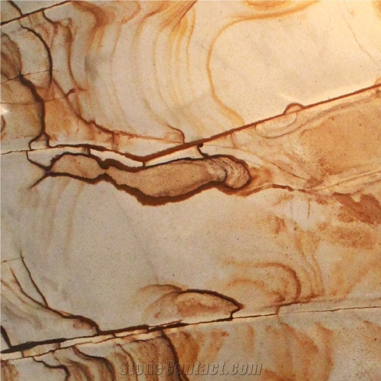 Golden Butterfly Quartzite Tile