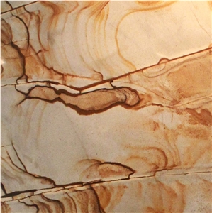 Golden Butterfly Quartzite Tile