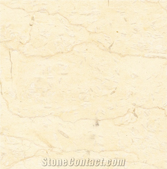 Golden Cream Marble importance=