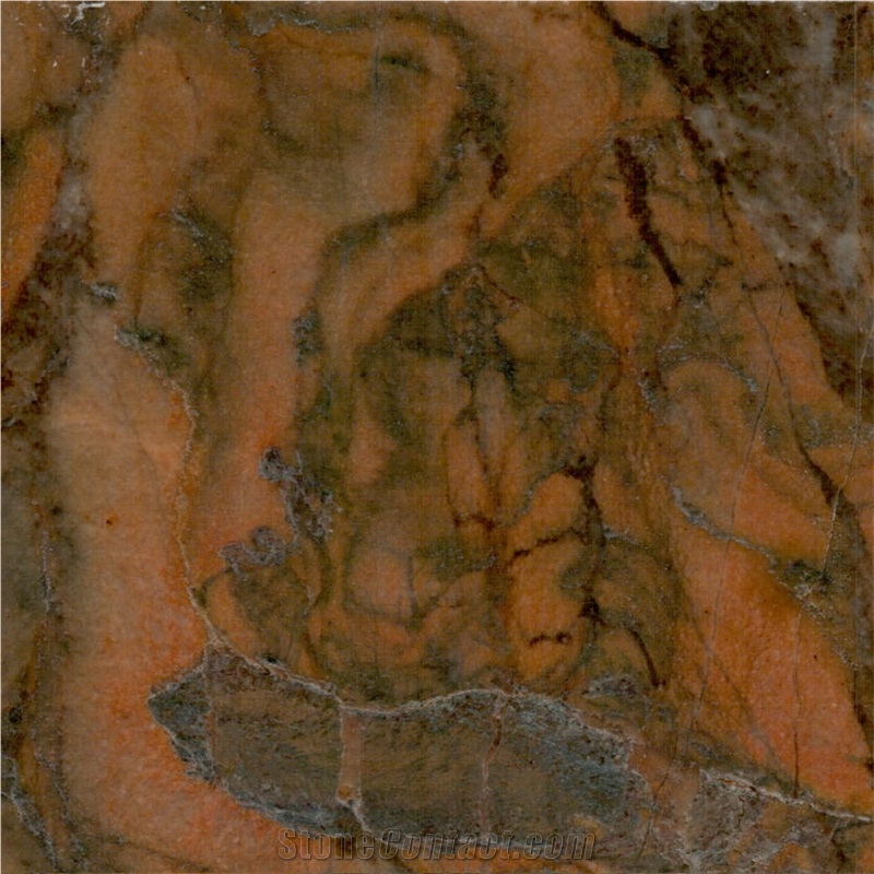 Golden Leonardo Tile