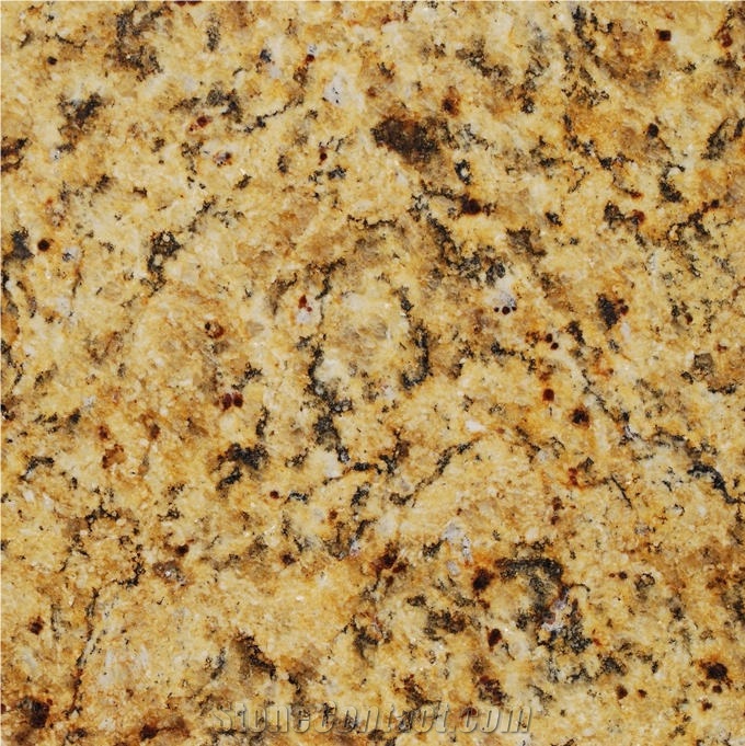 Golden Moon Tile
