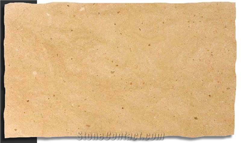 Golden Shell Slab