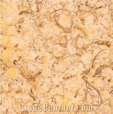 Golden Sherry Limestone importance=