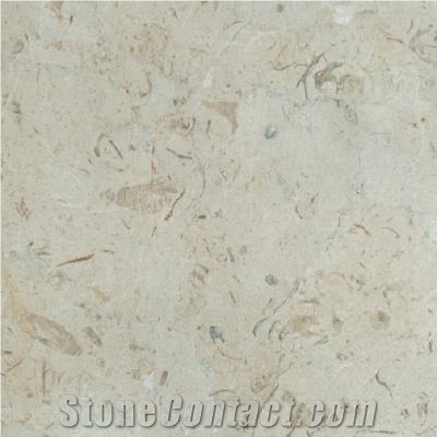 Goldswil Limestone importance=