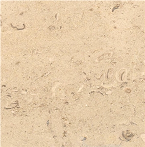Goluchow Limestone