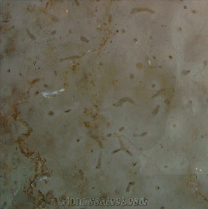 Gotic Mory Limestone Tile