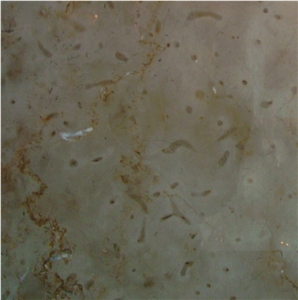 Gotic Mory Limestone Tile