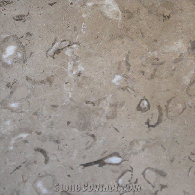 Gotic Mory Limestone Tile