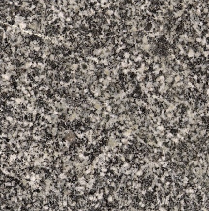 Gradina Grigio importance=