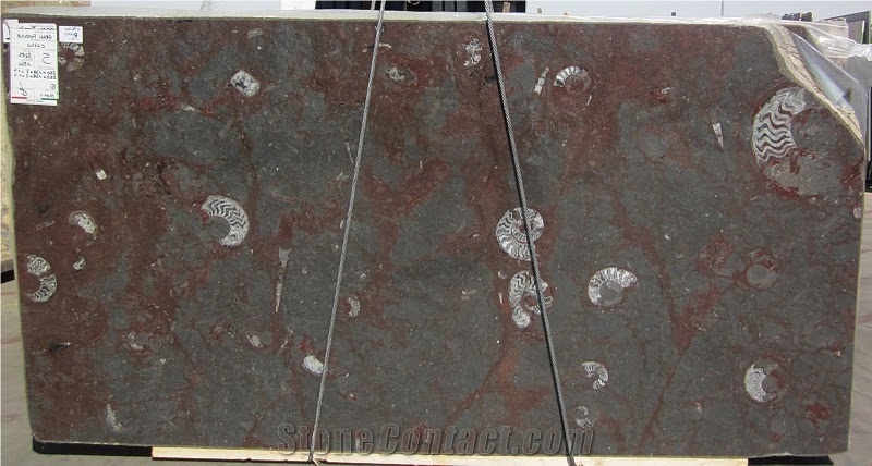 Gran Fossil Marble Slab