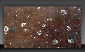 Gran Fossil Marble Slab