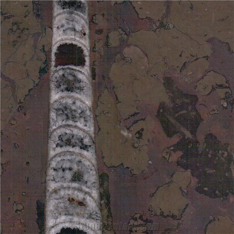 Gran Fossil Marble Tile