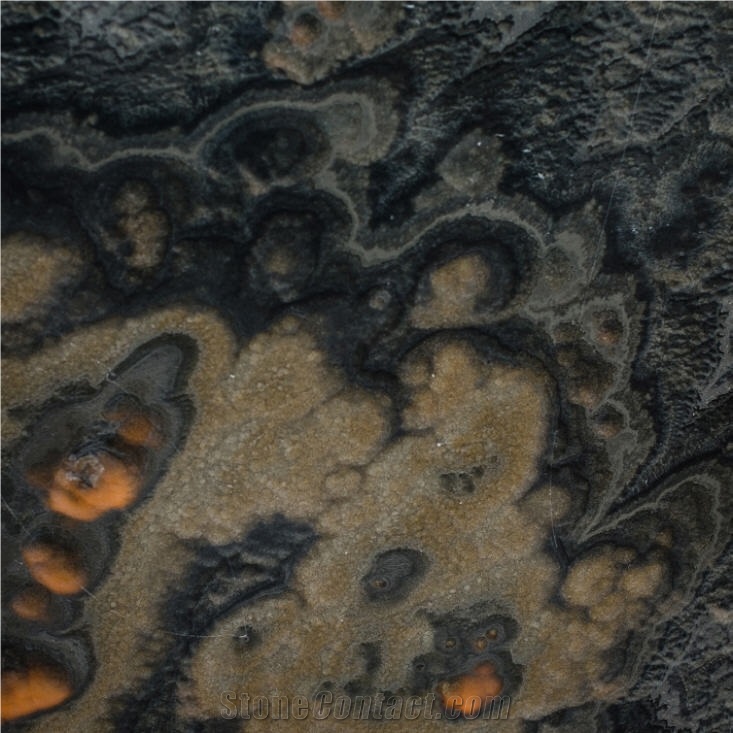 Gray Bubble Onyx importance=