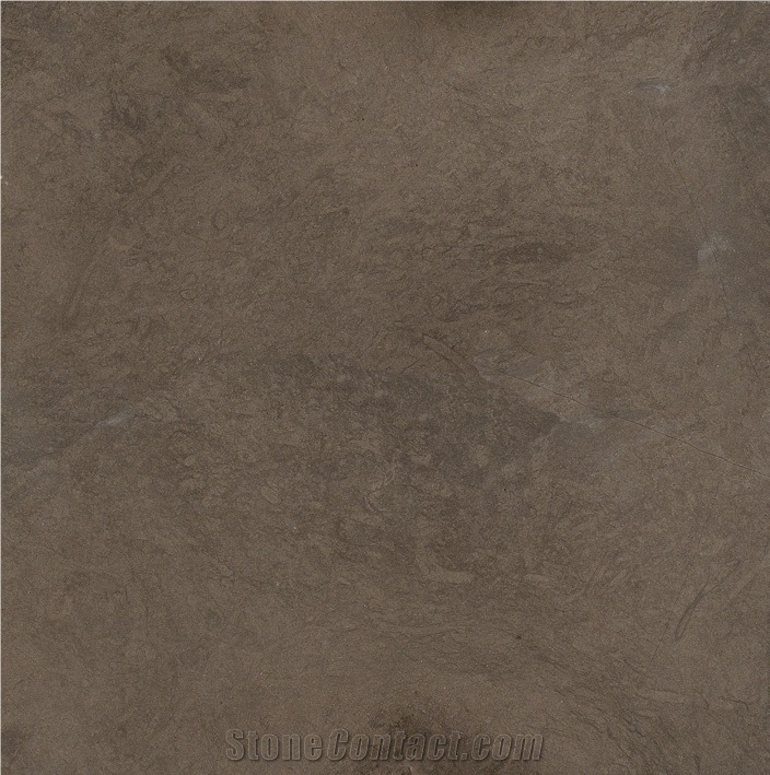 Grey Foussana Limestone importance=
