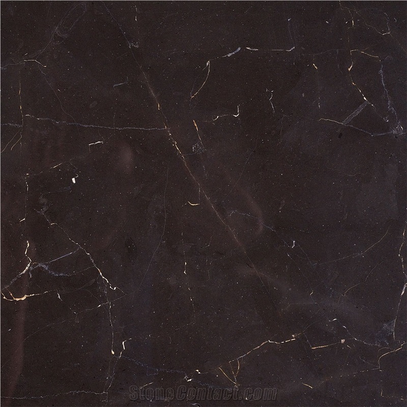 Grigio Amani importance=