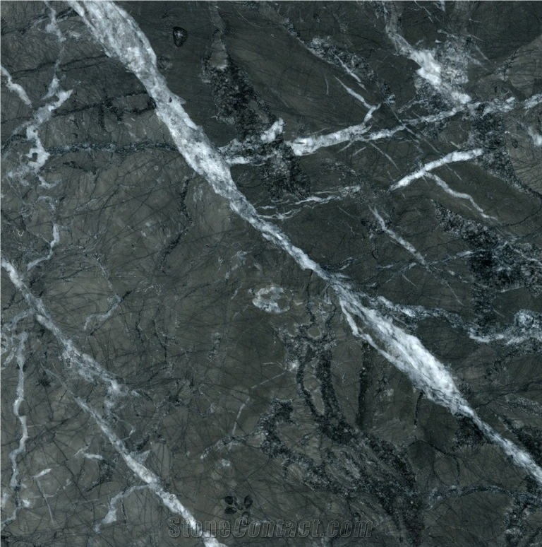 Grigio Carnico Marble importance=