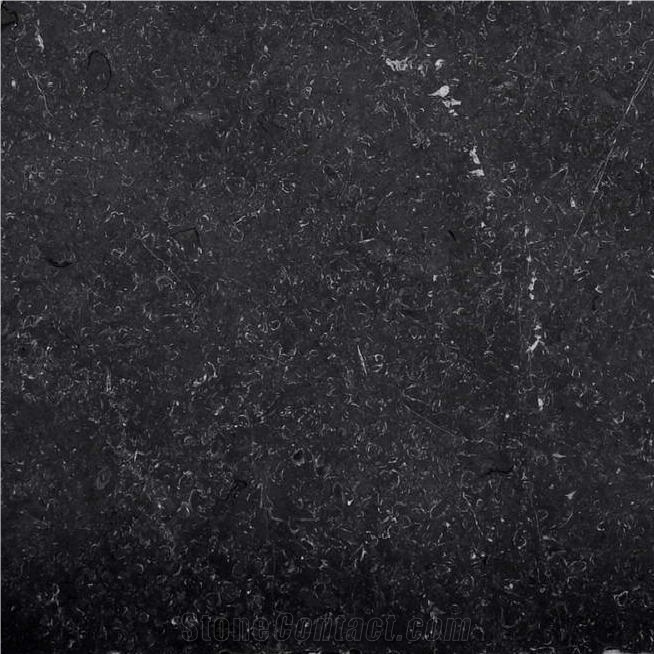 Grigio Chicciolato importance=