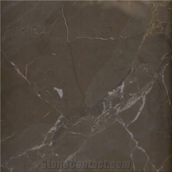 Grigio Collemandina Marble Tile