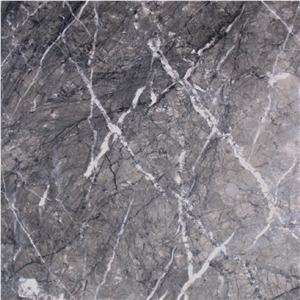 Grigio Ginari Marble