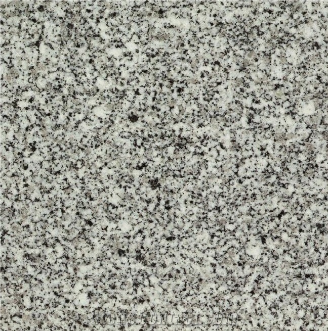 Grigio Glox Tile