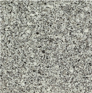 Grigio Glox Tile