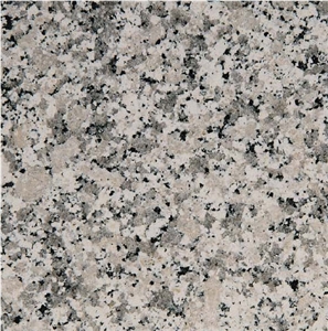 Grigio Perlato Sardo