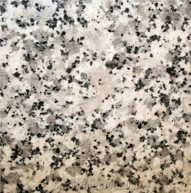 Grigio Perlato Sardo Tile