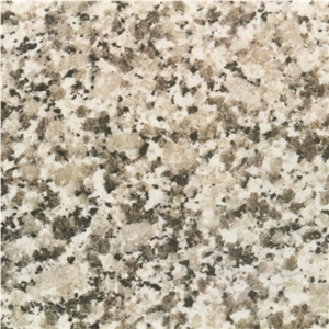 Grigio Perlato Sardo Tile