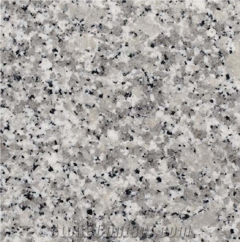 Grigio Sardo Champagne Granite importance=