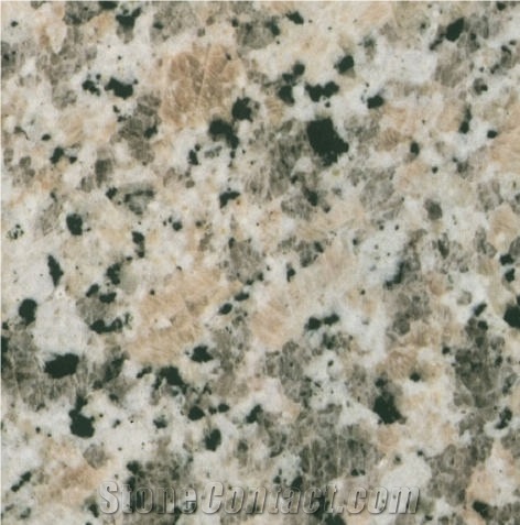 Grigio Sardo Champagne Granite Tile