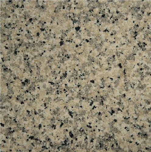 Grigio Sardo Taloro importance=