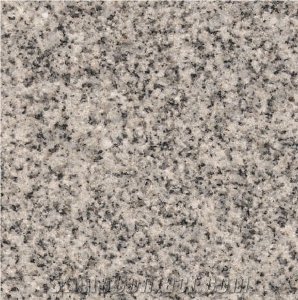 Grigio Torgoma importance=