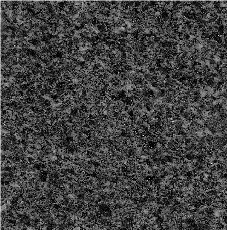 Grigio Tortora importance=