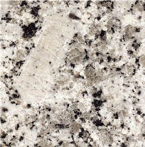 Gris Campanario Granite Tile