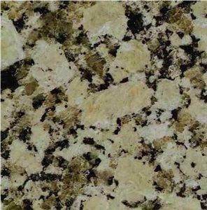 Gris Conquistador Granite Slabs & Tiles