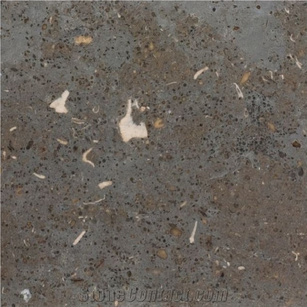 Gris de Catalan Limestone Tile