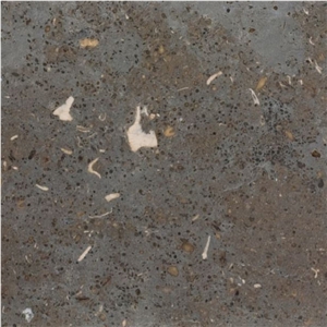 Gris de Catalan Limestone Tile