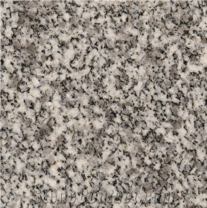 Gris de Stanstead importance=