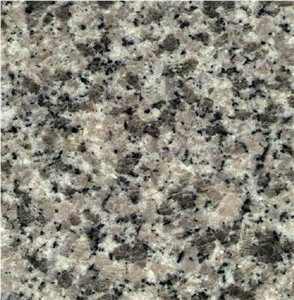 Gris Estrella