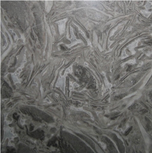 Gris Fosil Marble