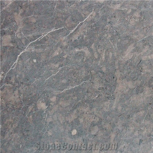 Gris Negri importance=