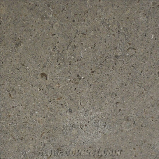 Gris Pardo importance=