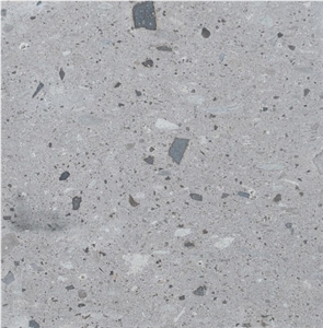 Gris Remedios Cantera